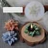 Christmas Flower Silicone Mold Christmas Aromatherapy Candle Mold Resin Molds Cake Decorating Handmade Soap Mold Candle Making CDN