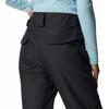 Columbia Брюки Bugaboo™ Omni Heat