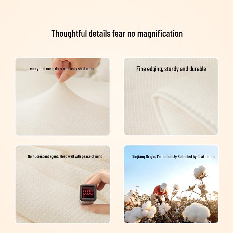 ZiiU Four-Season Xinjiang Cotton Duvet Insert