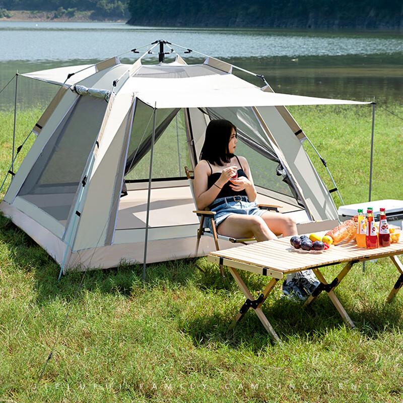 Portable Outdoor Camping Tent with Canopy & Large Window 1