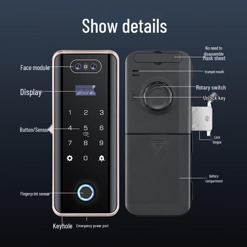 Realand ZD508 Face Fingerprint Access Control Lock CN plug (adapter included)