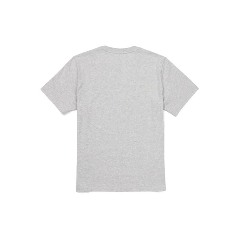 Fila T Shirts Unisex Gray Crew Neck Moderate Straight Fit FS2RSF2101X-LML