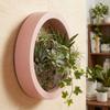 Hanging Basket Round Wall-mounted Flowerpot Space Saving Drill-Free Hydroponic Vase Plastic Plant Container Office Display
