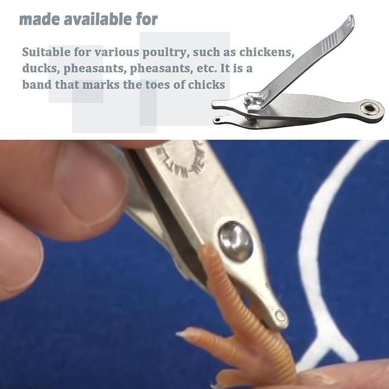 Chicken Toe Punch - Permanent Identification Tool For Chicks, Ducklings & Mice, Ear Tagging & Toe Marking