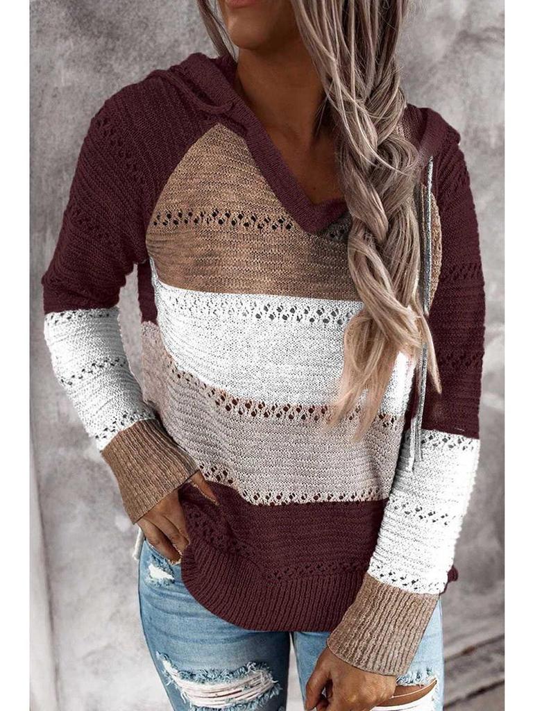 2025 Autumn & Winter Hooded Zipper Long Sleeve Sweater