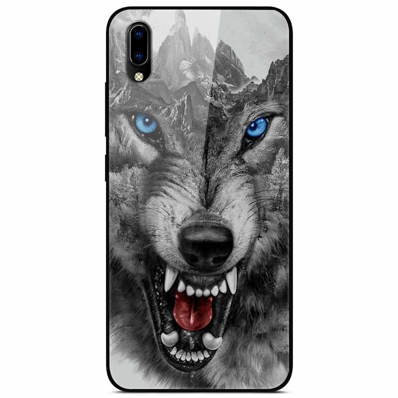 Für vivo V17 Hüllen V17 Pro Gehärtetes Glas Harte Rückseite Für Vivo V15 Pro Handyhülle Coque Für Vivo X50 Pro Lite Hülle X 50Lite