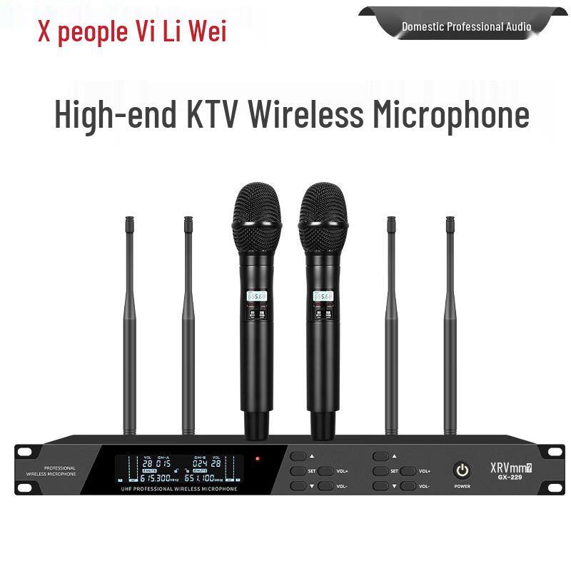 Xun Er Wei Professional True Diversity Wireless Microphone System (CN version)