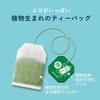 Ito En Oi Ocha Tè Verde x 20 bustine x 10 confezioni Bustine da Tè Eco (con Matcha) 1,8 g