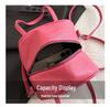 2026 Summer Women's Versatile Casual Mini Bag - Trendy Handheld Shoulder Bag