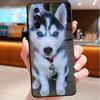 Capas para telemóveis – Para-choques para smartphones