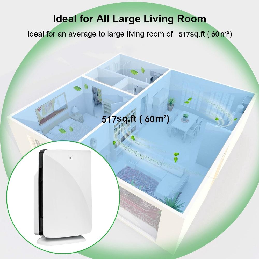 Air Purifier True with HEPA Filter Odor Allergies Remover for Smoke/Dus,/VOCs/Pollen/ Pet Dander/PM2.5 Home Office Use