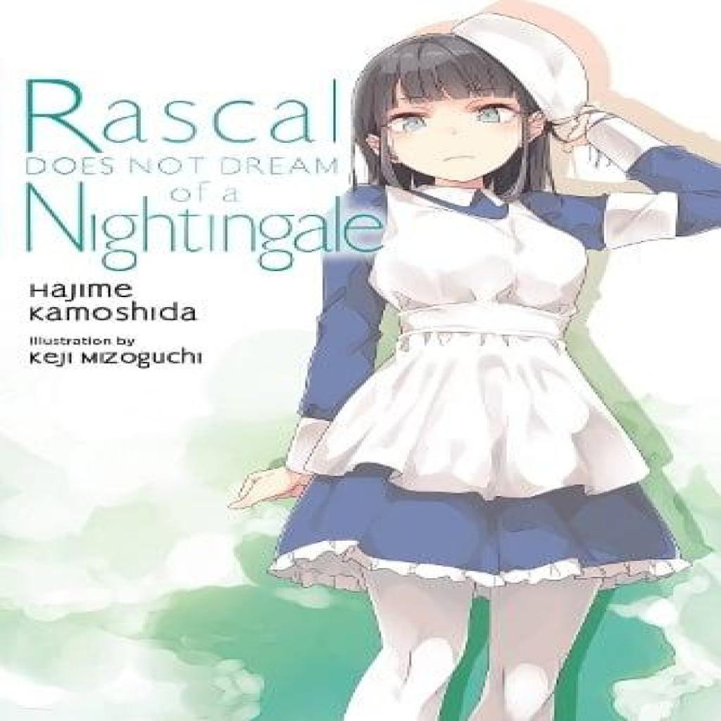 Rascal Does Not Dream of a Nightingale light novel by Keji Mizoguchi Paperback Book 9781975343507