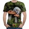 Funny Hedgehog Animal 3D Print T-Shirts Men Women Fashion Streetwear Oversized Short Sleeve T Shirt Male Tees Tops Man Clothing