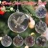 Nature's Birds Crystal Glass Ornament Set Bird Glass Christmas Tree Ornaments for Holiday Christmas Party Home Decor