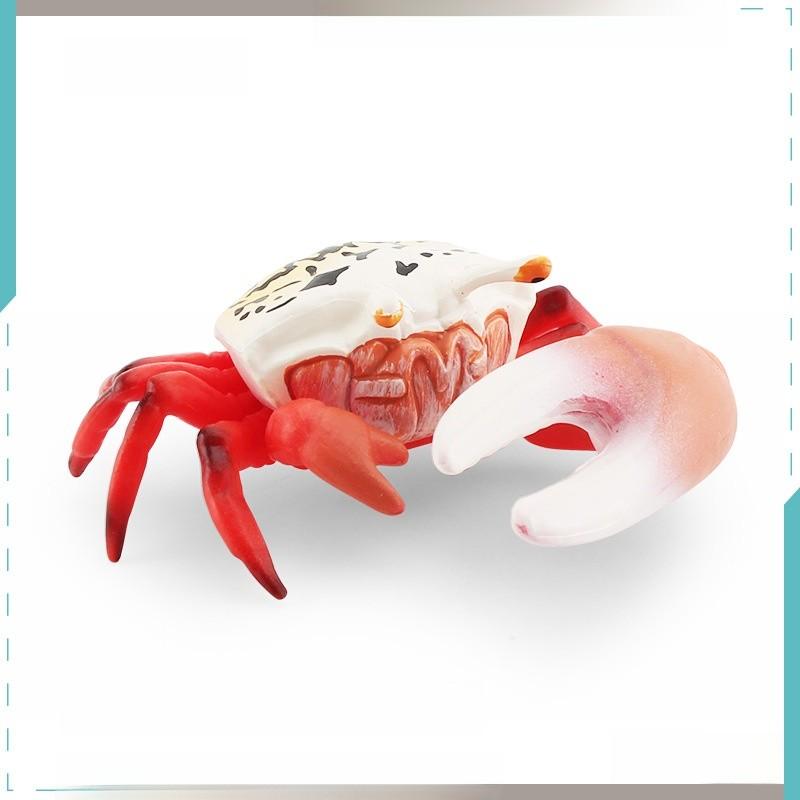 Pvc Fiddler Crab Collection Model Marine Animal Figurine For Aquarium Display And Gift