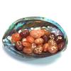 New Zealand Abalone Shell Smudging Dish, Accessory Case, and Crystal Container. Essential for White Sage Purification.