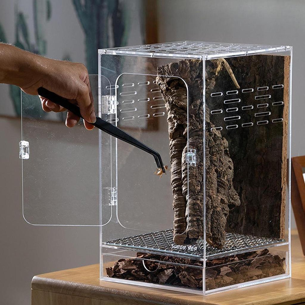 Acrylic Enclosure Cage Breeding Box Tank Terrarium for Mantises Terrestrial Silkworm Chameleon