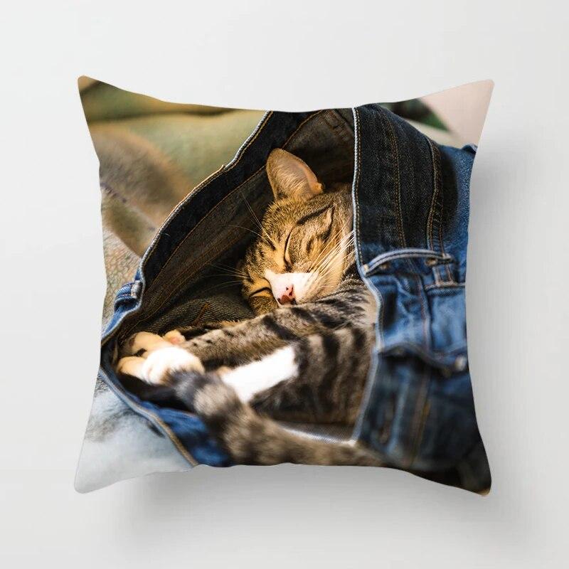 Home Decor Witchcraft Cat Stealing  Cushion Cover Cute  Sofa Car Decoration 45x45cm Pillowcase Square Polyester