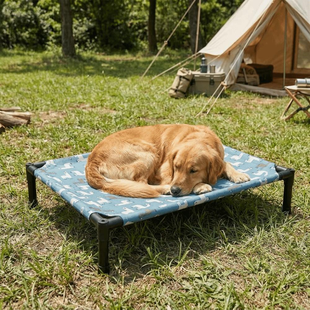 Moisture Proof Dog Marching Bed Breathable Elevated Pet Bed Cat Sleeping Bed  Indoor Outdoor