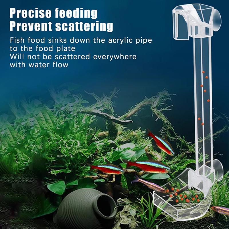 Aquarium Fish Shrimp Feeding Dish Set - Clear Feeder Tube And Dish With Cleaning Brush And Measuring Spoon For Shrimp