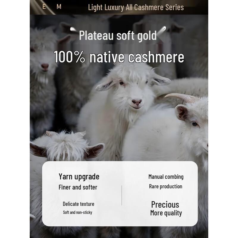 Erdos EMZ Men's 100% Cashmere Round Neck Pullover Sweater