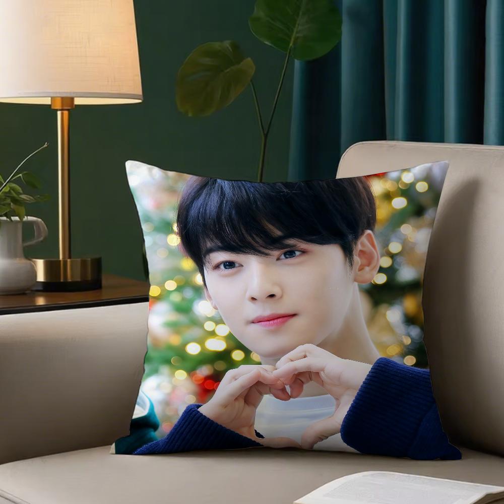 Singer C-Cha Eun-Woo Pillow Case Square Double-Sided Printing Sofa Cushion Cover Bedroom Bedside Pillowcover