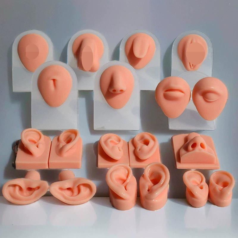 Silicone Ear Model for Piercing Jewelry Display