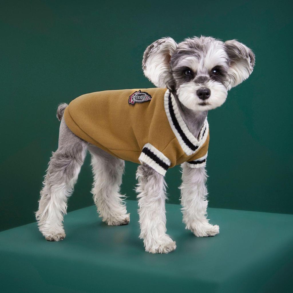 Autumn/Winter Korean Academy Style V-Neck Knit Plus Velvet Pet Hoodie for Cats & Dogs