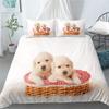 Labrador Dog Duvet Set 3D Digital Printing Bedding Set Three-Piece Bedroom Decoration