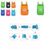Durable Folding Packable Lightweight Travel Hiking Backpack With Adjustable Straps