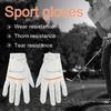 2 Stück/Set Golfhandschuhe Atmungsaktiv Bequem Linke Rechte Hand Elastisch Weich Touchscreen