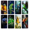 Phone Case For Samsung Galaxy S25 S24 S23 FE S22 Ultra S20 S21 5G S10 S9 Plus S10E S8 Soft Clear Cover Parrot Bird