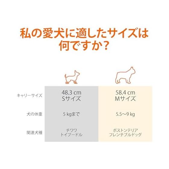 AmazonBasics Pet Carrier Double Door for Small Dogs and Cats Up To 9kg M Size Width 38 X Depth 58 X Height 33cm Gray Blue