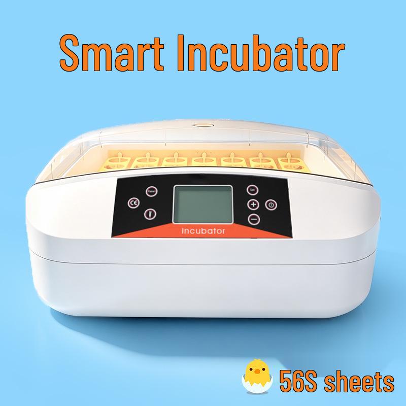 Smart Mini Egg Incubator for Parrots and Budgies: Automatic Pet Hatchery Equipment
