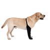 Dog Socks To Prevent Licking Paws with Anti-Slip Bottom Healings Boot & Paws Protectors Dog Sleeve Shoes for Lickings