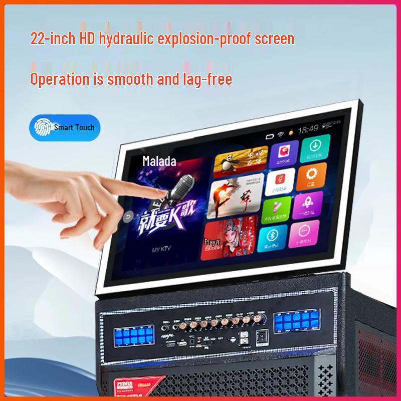 Malata A15 Portable Home Karaoke System (CN version)