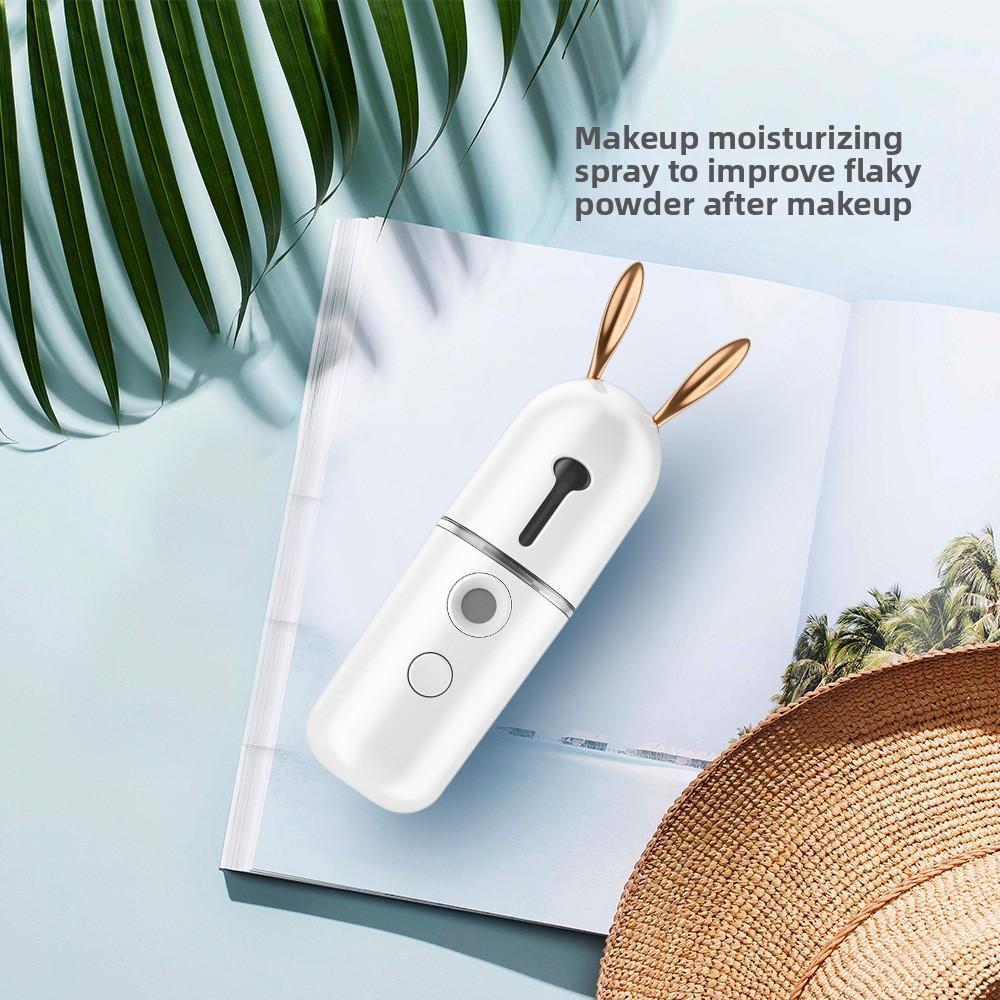 Cartoon Hydrating Spray Instrument Face Steamer Household Handheld Charging Portable Cold Spray Facial Humidifying Hydrating Instrument