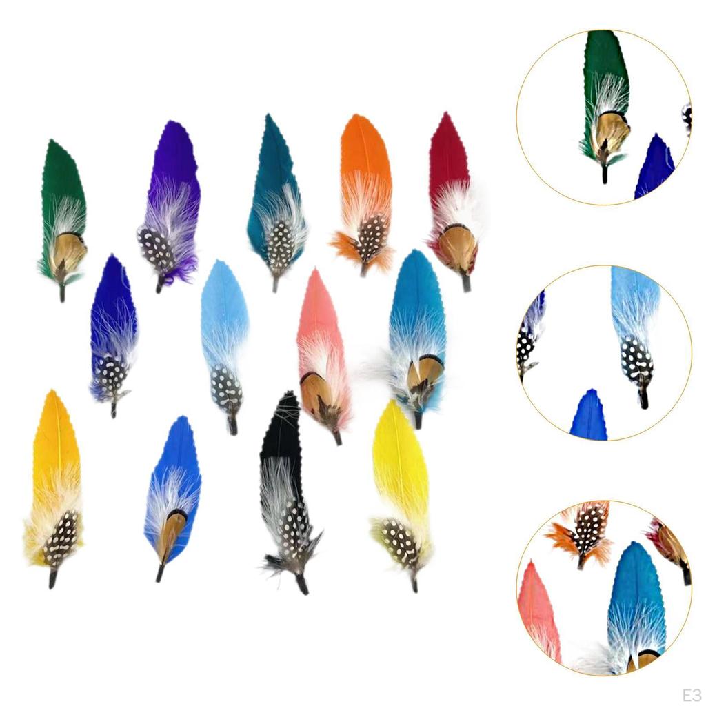 Feather Adornments for Fedora Hats And Outfits