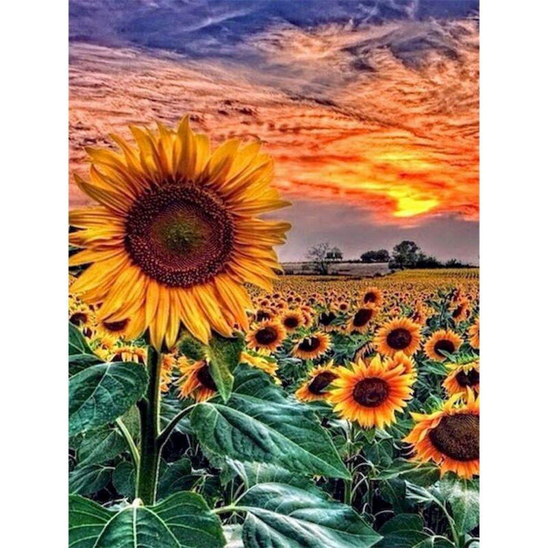 

Полная Алмазная вышивка Подсолнух Алмазная мозаика Наборы для рисования Пейзаж заката Творческие хобби Фотографии Домашний деко Full Round 20x30CM