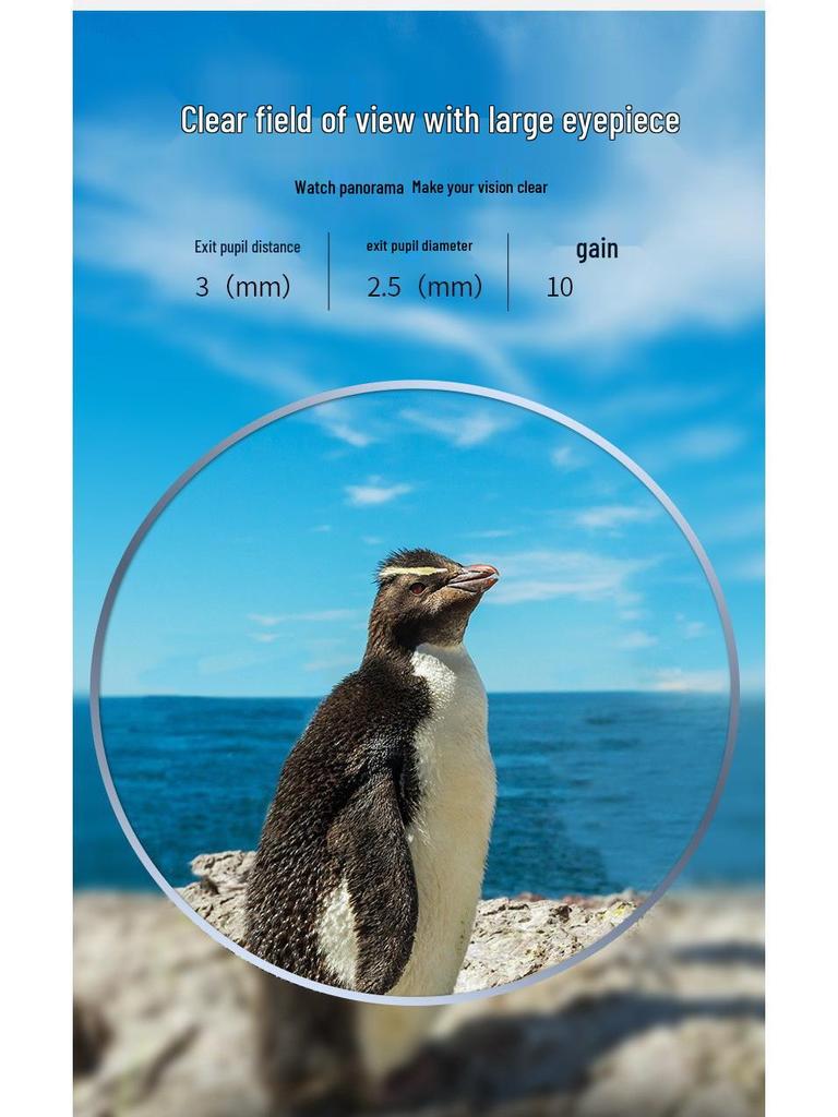 10x25 HD Binoculars & Smartphone Telescope for Concerts