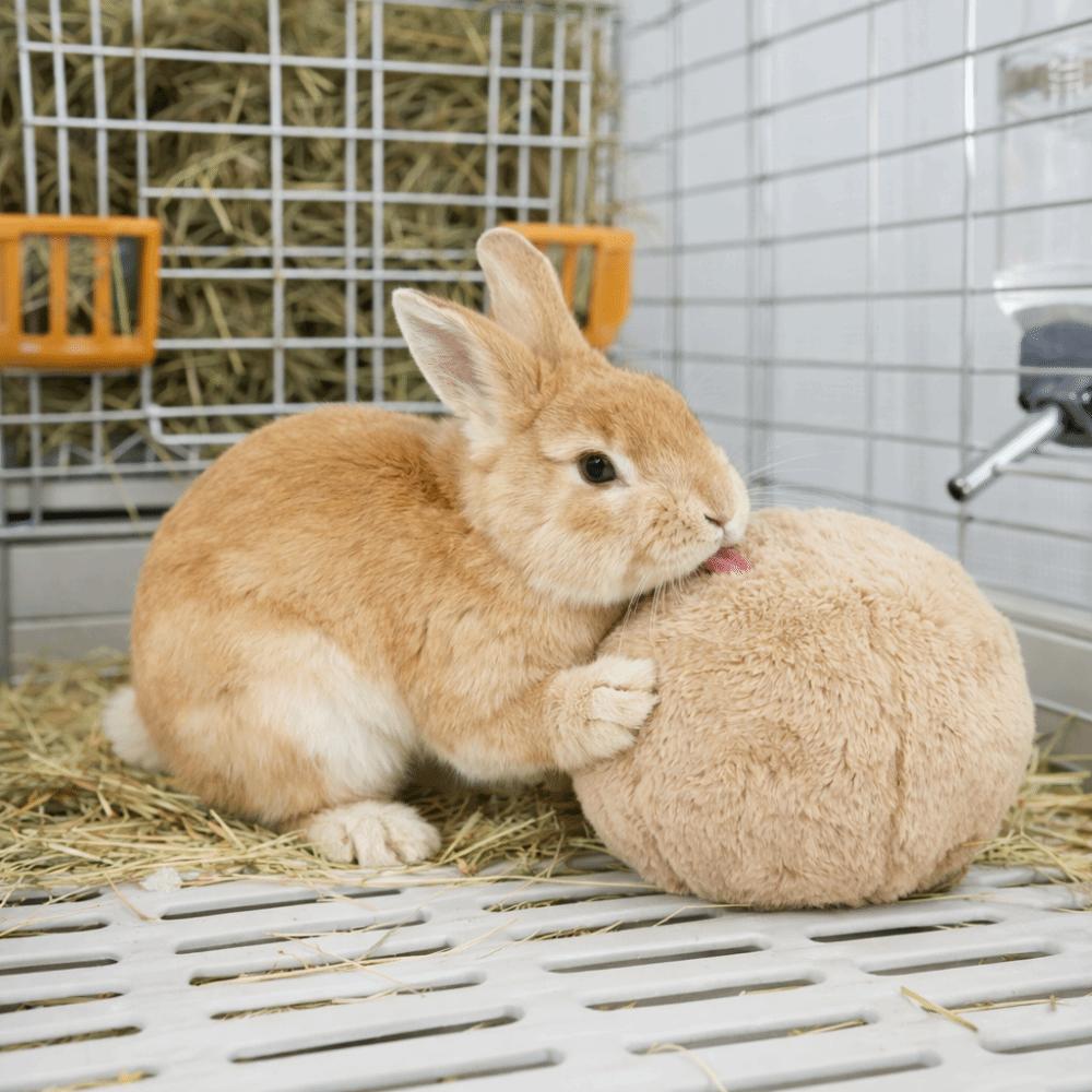 Bite Resistant Rabbit Soothing Ball Simulated Rabbit Buttocks Soft Pet Chewable Ball Comfortable Rabbit Venting Ball