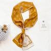 Spring and Autumn New Korean Decorative Slim Long Silk Scarf for Women, Small Neck Scarf, Ribbon Binding, Bag Strap, Headband, Winter Warm Scarf