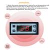 Temperature Controller Thermostat Digital with Dual Sensors for Incubators For Water Heaters and Refrigerators