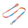 Gradient Stylish Chain Dog Leash, Matching Collar Set, Fashion Personalized Walking Lead for Small & Medium Dogs