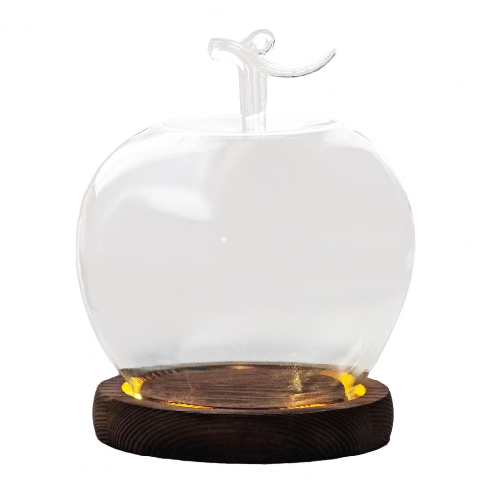 Glass Display Dome Glass Dome with Wooden Base Display Cover Decorative Glass Accent for Preserved Flowers Jewelry Showcase