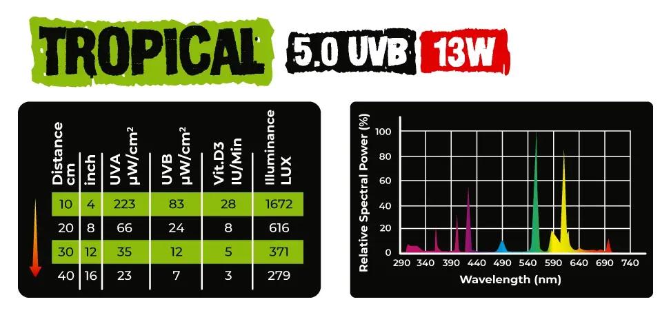 REPTILE NOVA 5.0 UVB 13W - Fluorescent lamp for tropical reptiles | UVA + UVB