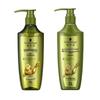 Schwarzkopf Ginger Essence Oil Control Shampoo & Conditioner Set