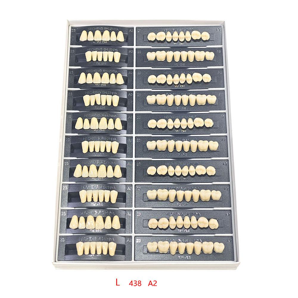5 Sets/Box Dental Acrylic Resin Teeth 2 Layers Denture 28*1 Full Mouth S/M/L A2 A3 Stability Dentistry Material