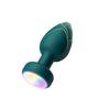 Remote Control Luminous Sex Product 10 Frequency Vibration Masturbation Massager for Men and Women Adult Sex Sex Product