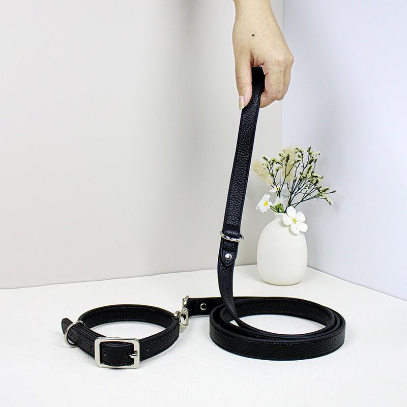 Medium Large Dog Leather Collar Leash Set Adjustable Pet Training Walking Gear